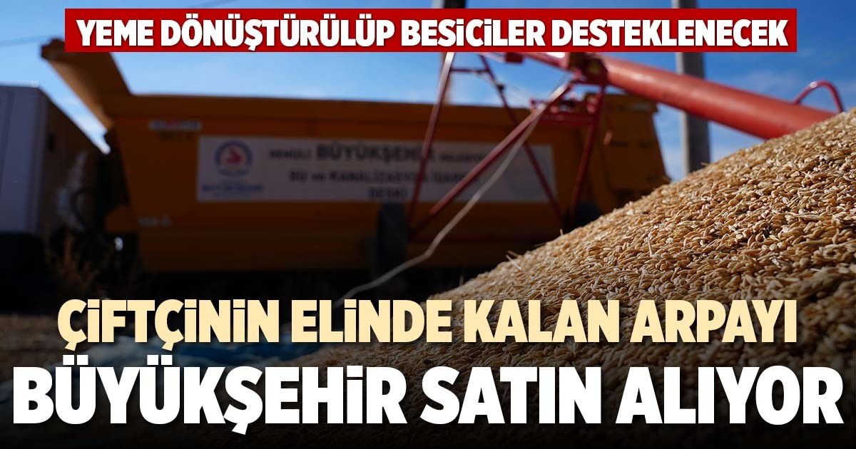 ÇİFTÇİNİN ELİNDE KALAN ARPAYI BÜYÜKŞEHİR SATIN ALIYOR