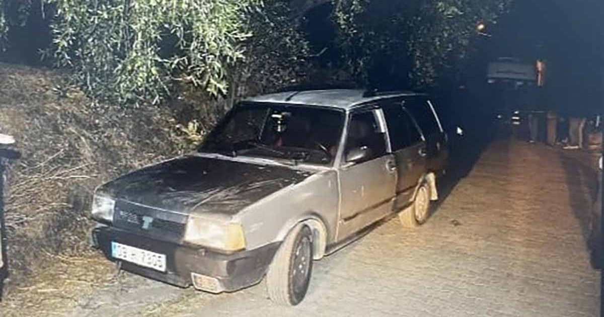 KONTROLDEN ÇIKAN OTOMOBİL AĞACA ÇARPTI: 1 ÖLÜ  