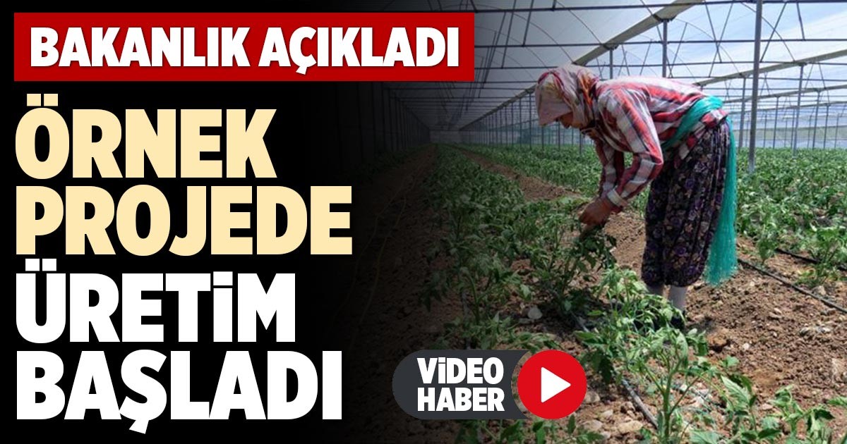 ÖRNEK PROJEDE ÜRETİM BAŞLADI