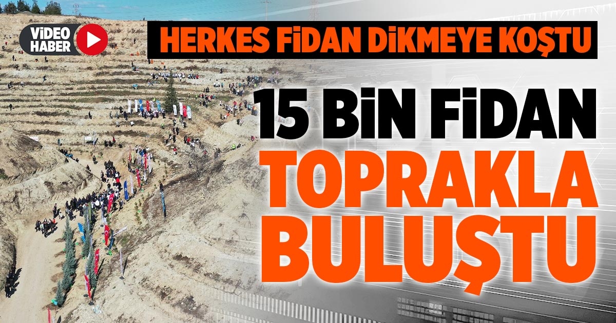 15 BİN FİDAN TOPRAKLA BULUŞTU