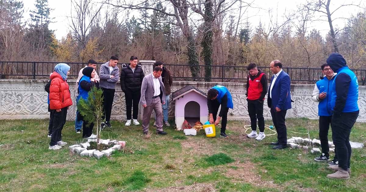 HİSARCIK’TA SOKAK HAYVANLARI İÇİN MAMA BIRAKILDI