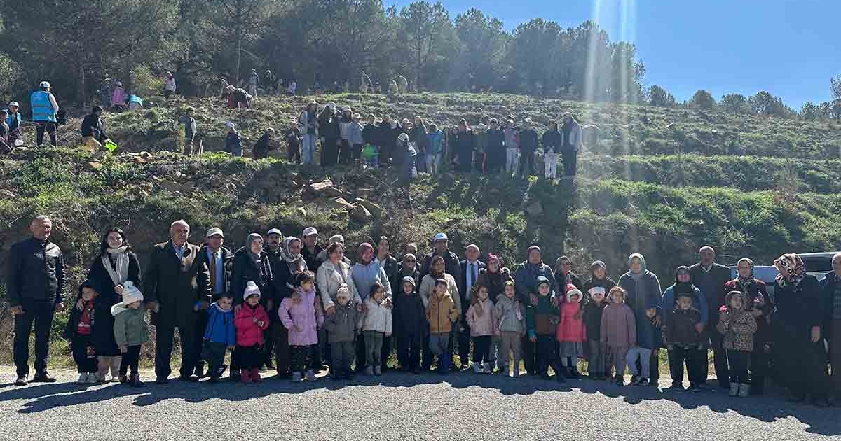 SARIGÖL'DE 400 FISTIK ÇAMI TOPRAKLA BULUŞTU