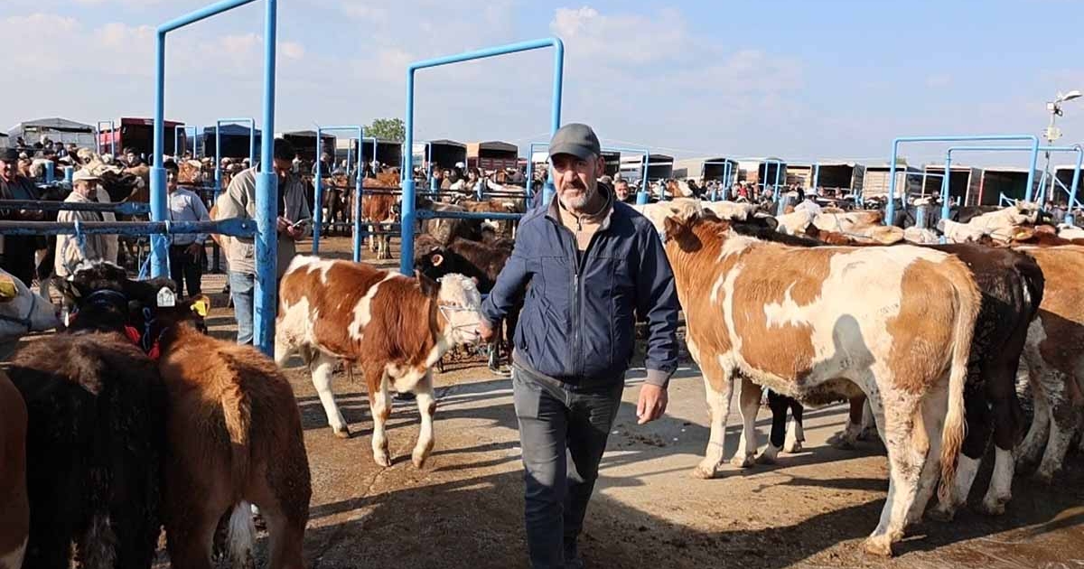 AFYONKARAHİSAR'DA KURBANLIK HAREKETLİLİĞİ BAŞLADI