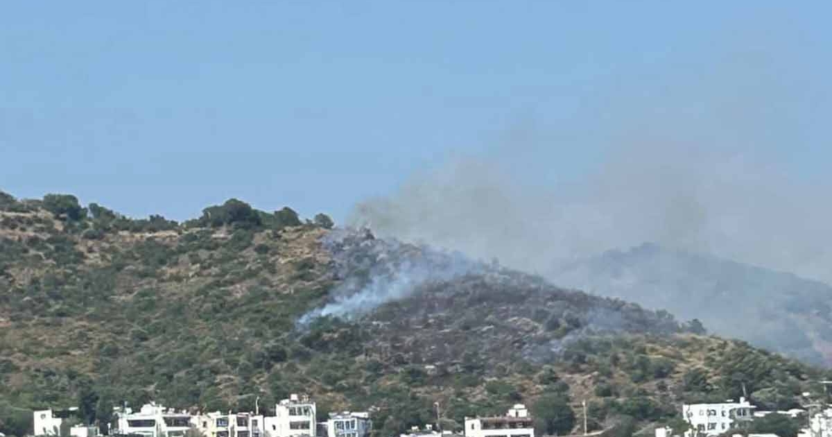 BODRUM'DA MAKİLİK ALANDA YANGIN ÇIKTI