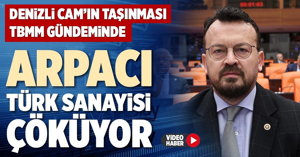 ARPACI: TÜRK SANAYİSİ ÇÖKÜYOR 