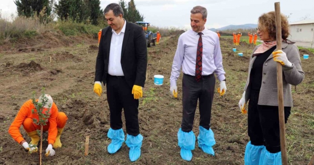 DALAMAN AÇIK CEZA İNFAZ KURUMUNDA 10 DEKAR ALANA SAKIZ AĞACI FİDANI DİKİLDİ
