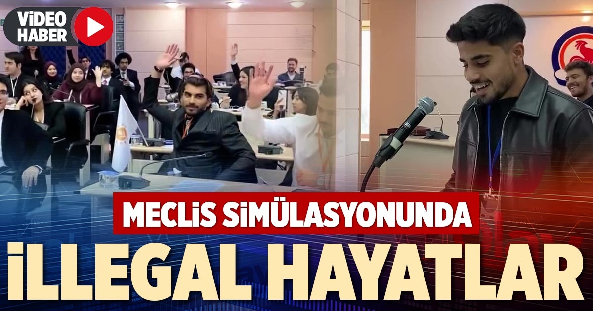 MECLİS SİMÜLASYONUNDA İLLEGAL HAYATLAR