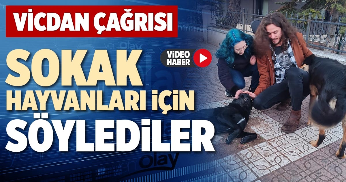 SOKAK HAYVANLARI İÇİN SÖYLEDİLER