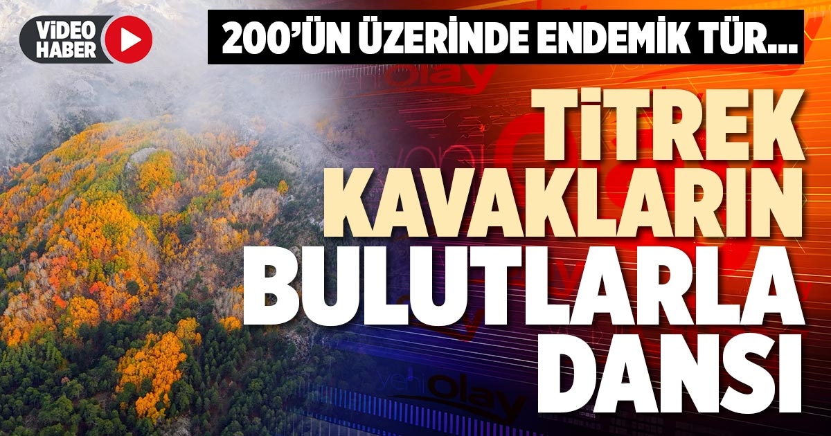 TİTREK KAVAKLARIN BULUTLARLA DANSI