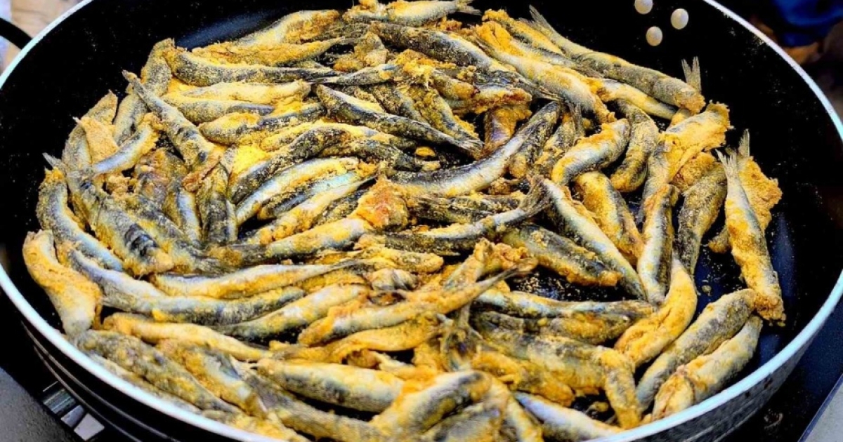 MUĞLA’DA KARADENİZ RÜZGARI: 5 TON HAMSİ İKRAM EDİLDİ
