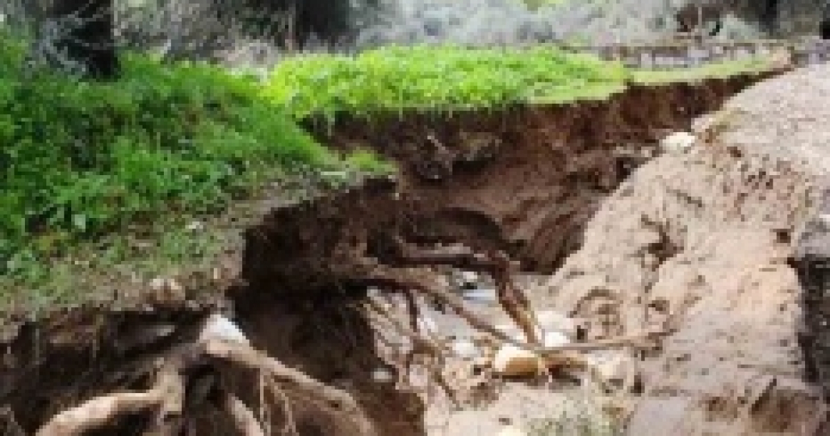 DERE SULARI YÖN DEĞİŞTİRDİ, ZEYTİNLİKTE İKİNCİ YATAK OLUŞTU
