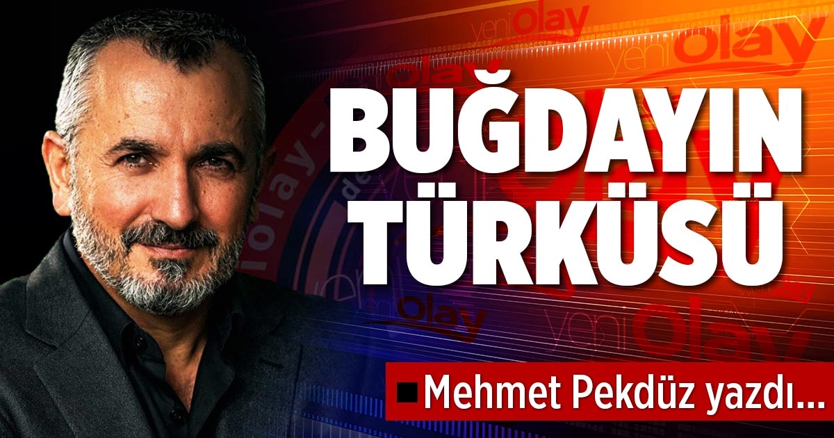 BUĞDAYIN TÜRKÜSÜ