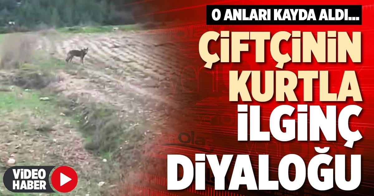 ÇİFTÇİNİN KURTLA İLGİNÇ DİYALOĞU