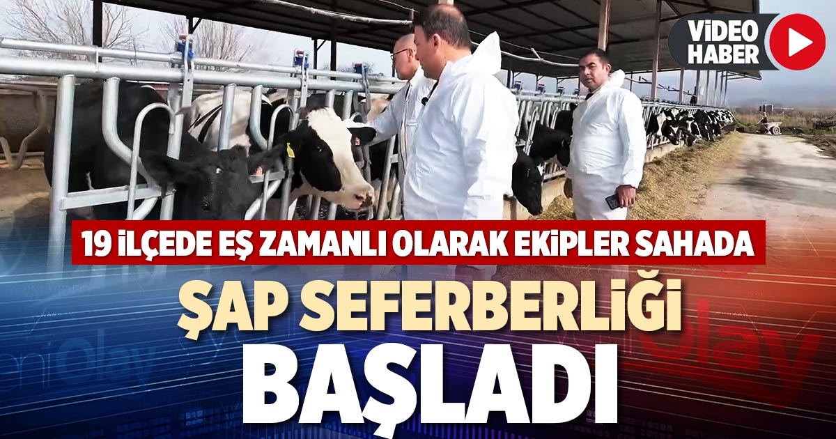 ŞAP SEFERBERLİĞİ BAŞLADI