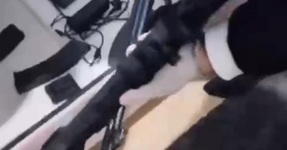 İZMİR’DE KENDİNİ VURAN ŞÜPHELİNİN EVİNDEN CEPHANELİK ÇIKTI