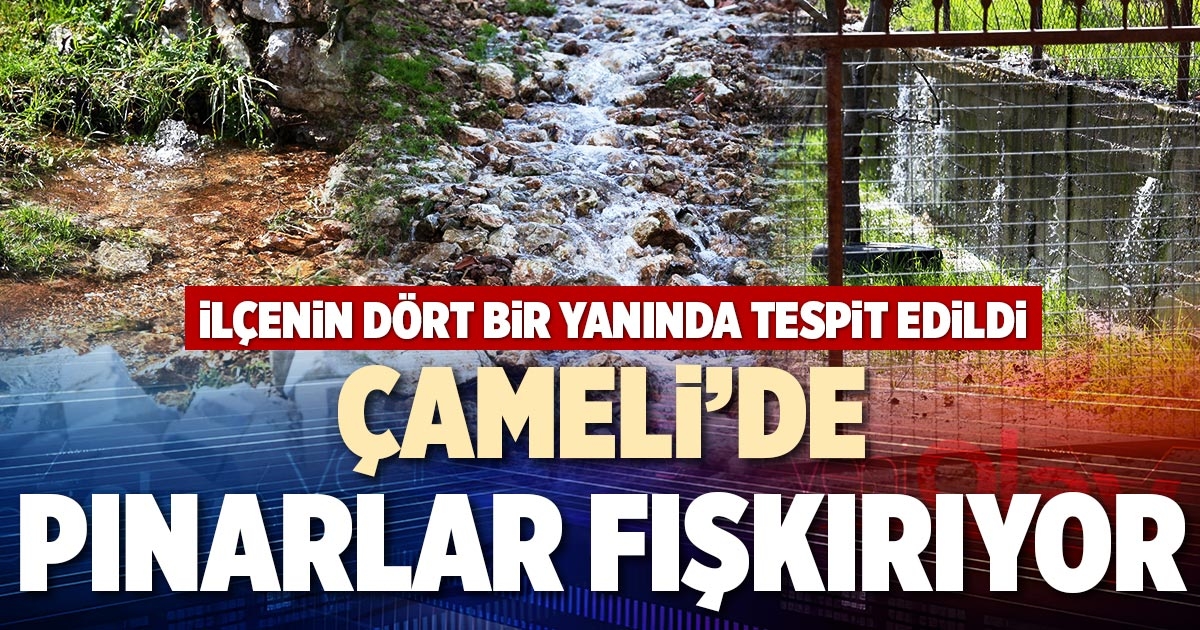 ÇAMELİ’DE PINARLAR FIŞKIRIYOR