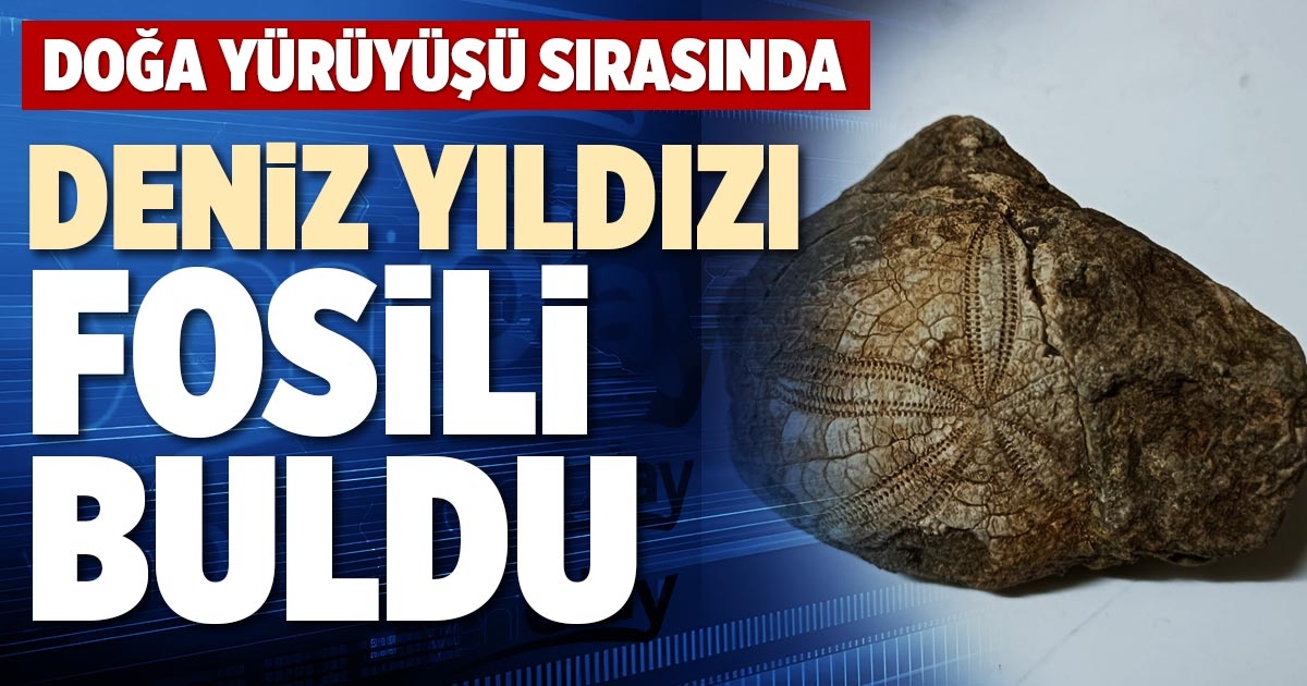 DENİZ YILDIZI FOSİLİ BULDU