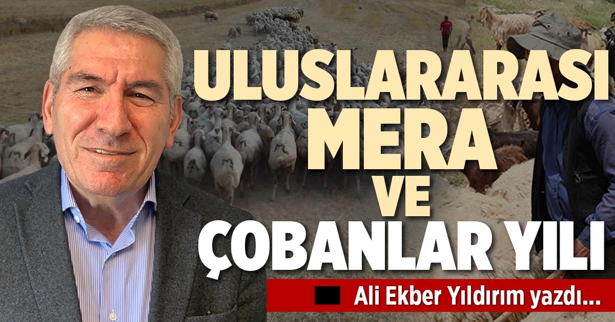 ULUSLARARASI MERA VE ÇOBANLAR YILI