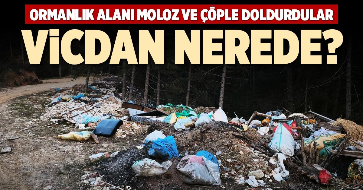 VİCDAN NEREDE?