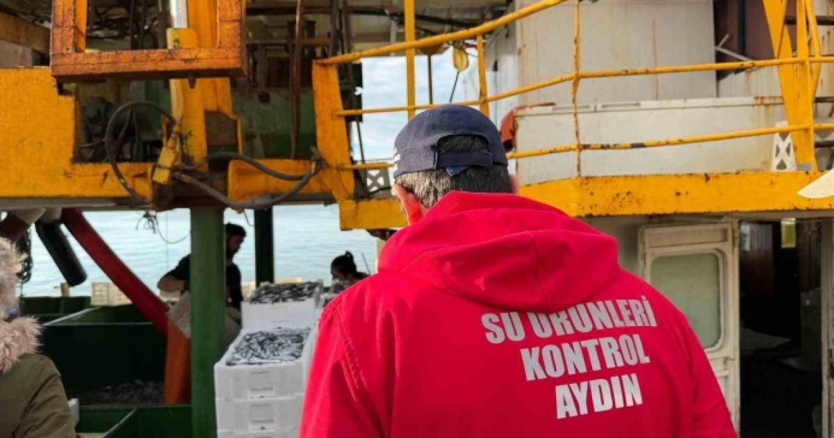 HAMSİ KOTASI İÇİN DİDİM’DE DENETİM YAPILDI
