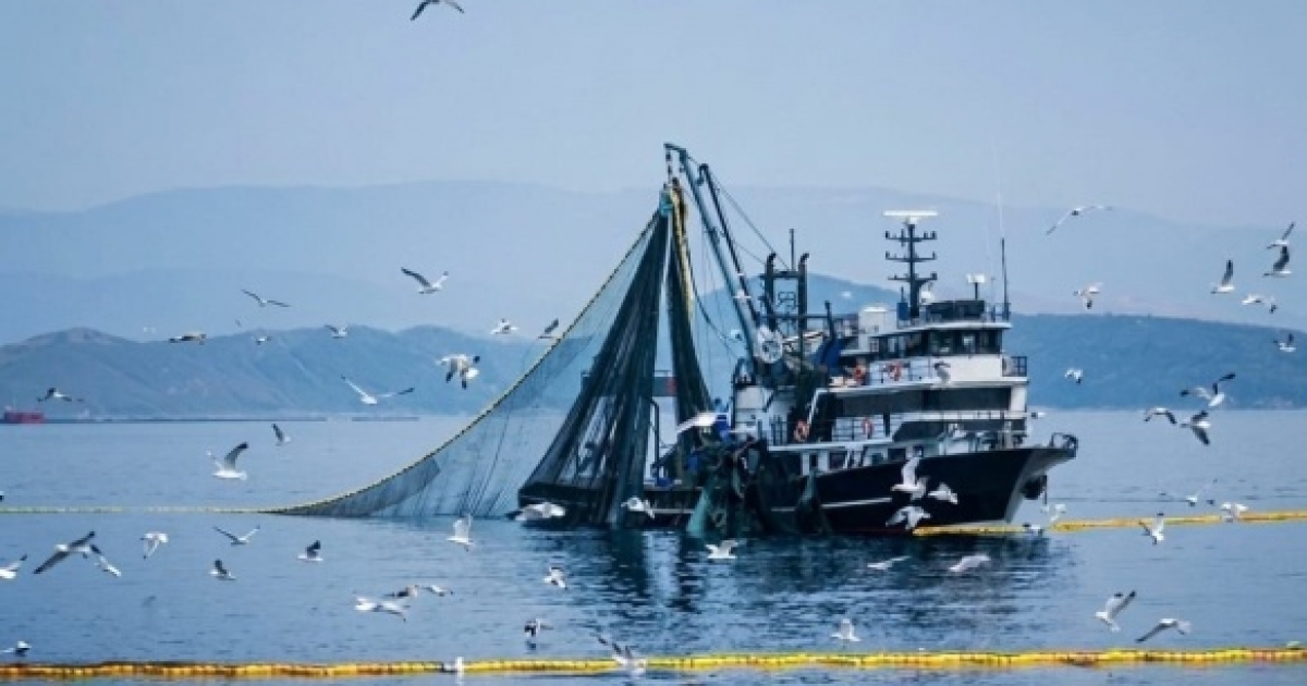 DENİZLERDE AV YASAĞI 15 NİSAN’DA BAŞLIYOR