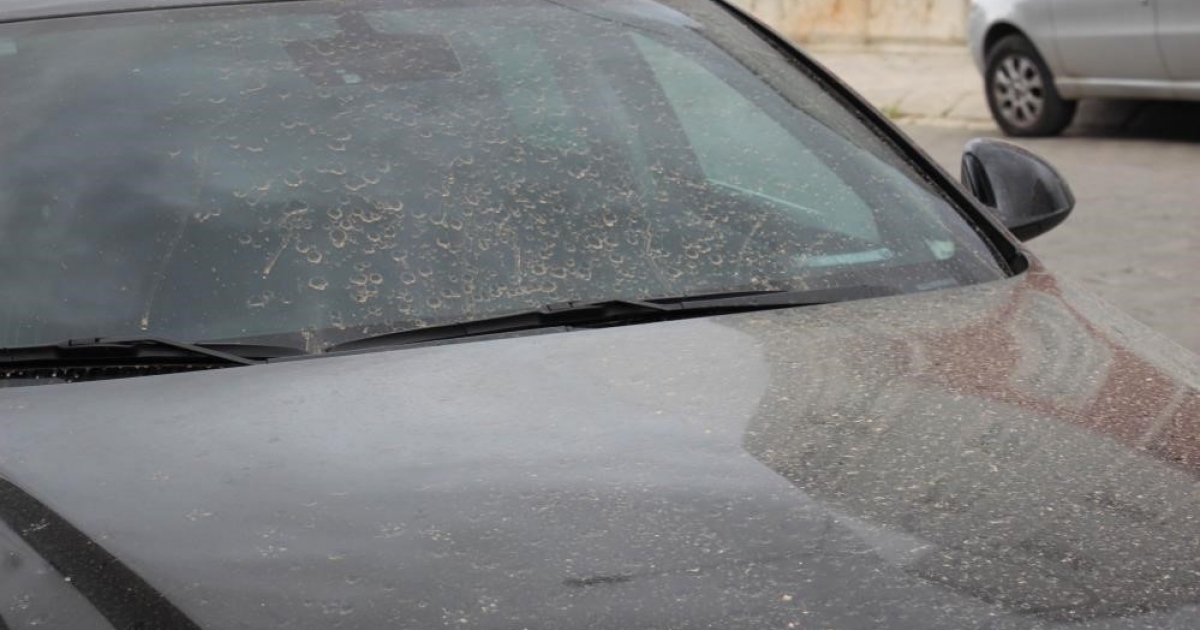 AYDIN’DA TOZ TAŞINIMI BEKLENİYOR
