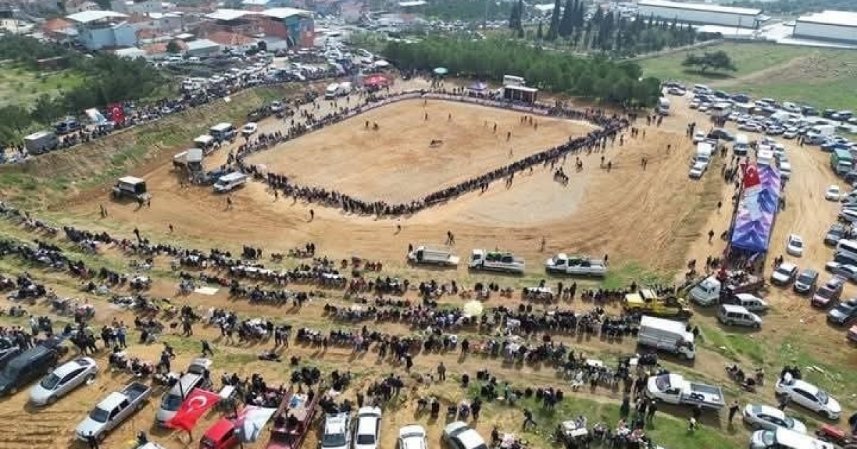 KEMALPAŞA’DA 3. BOĞA GÜREŞİ FESTİVALİ HEYECANI
