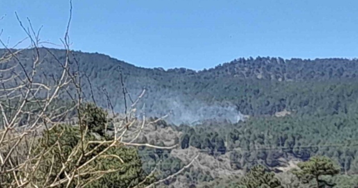 ORMAN YANGINI KONTROL ALTINA ALINDI
