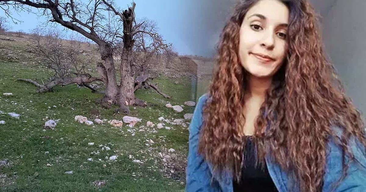 GÜLİSTAN DOKU DOSYASINDA MEZAR BULUNDU