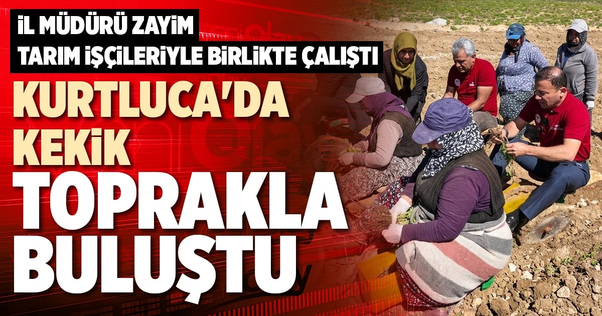 KURTLUCA'DA KEKİK TOPRAKLA BULUŞTU
