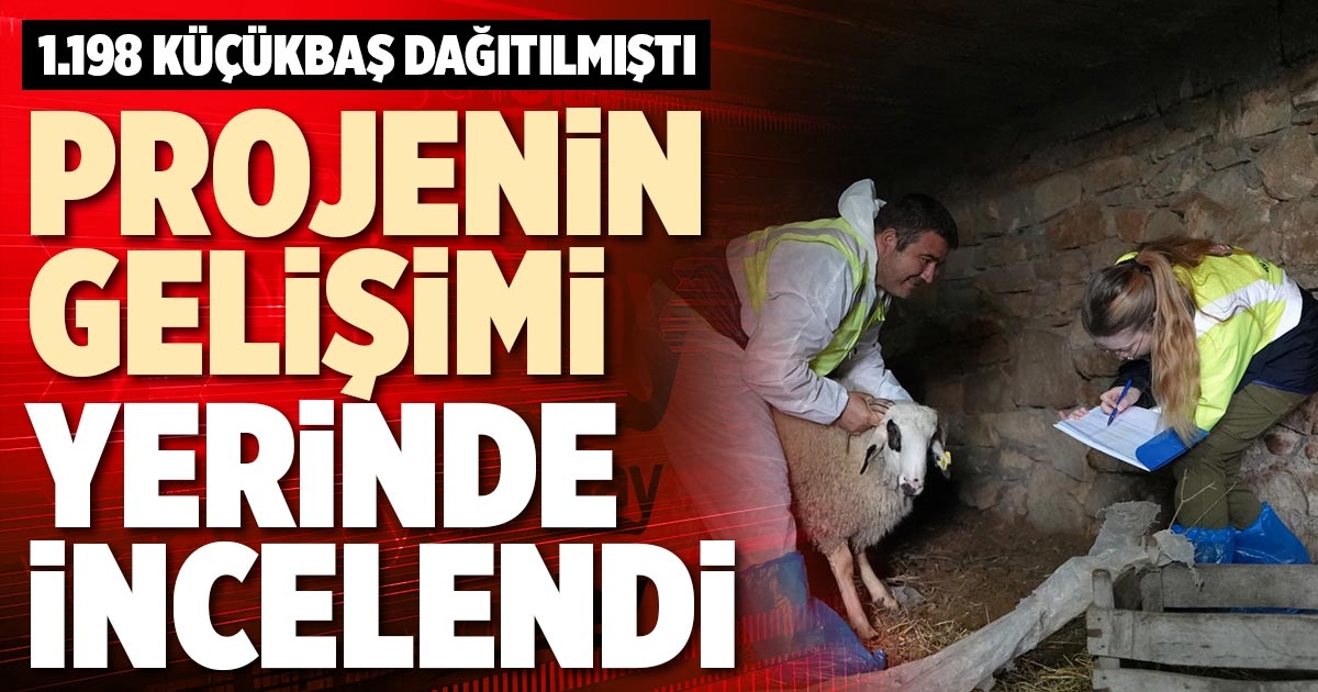 PROJENİN GELİŞİMİ YERİNDE İNCELENDİ