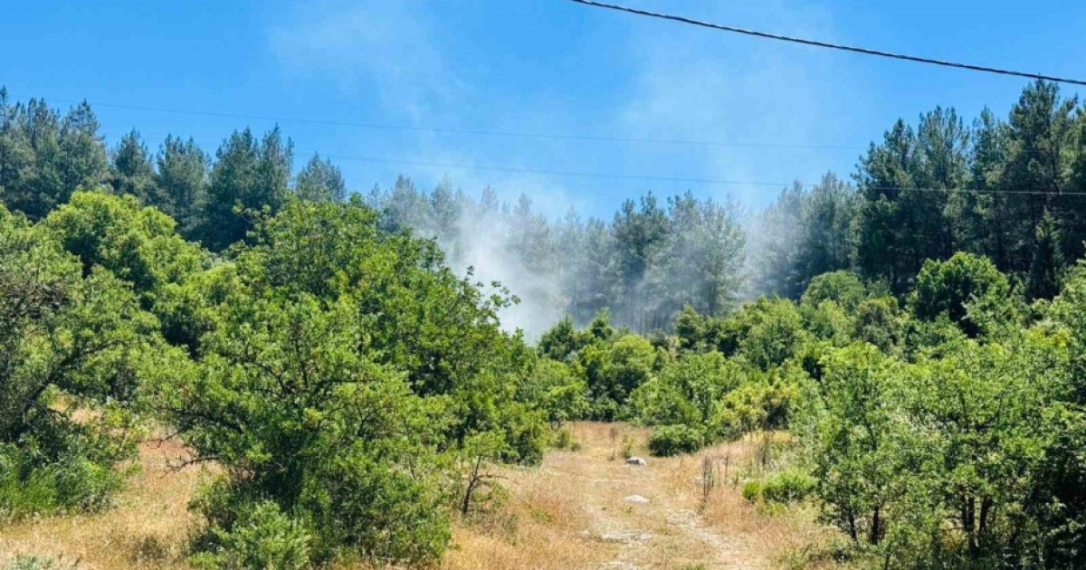 MENTEŞE’DE ORMAN YANGINI
