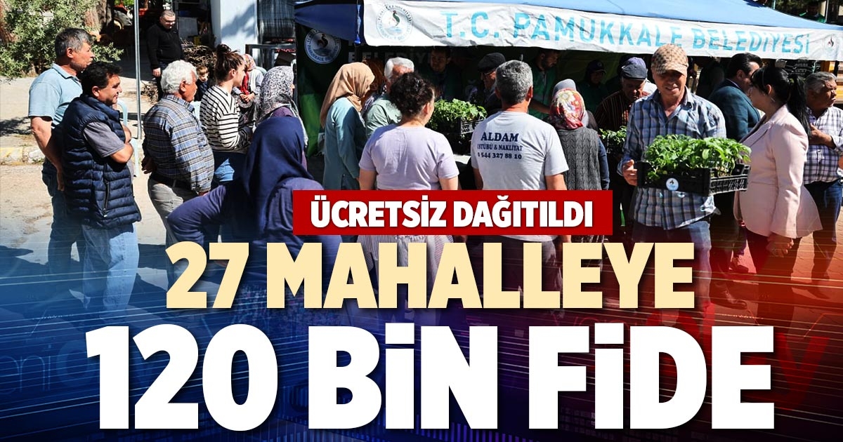 27 MAHALLEYE 120 BİN FİDE