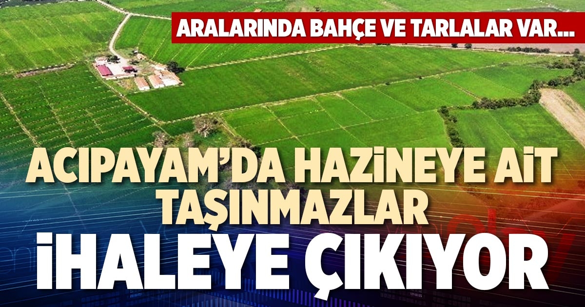 ACIPAYAM’DA HAZİNEYE AİT TAŞINMAZLAR İHALEYE ÇIKIYOR