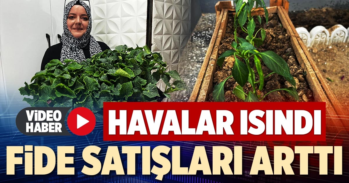  FİDE SATIŞLARI ARTTI