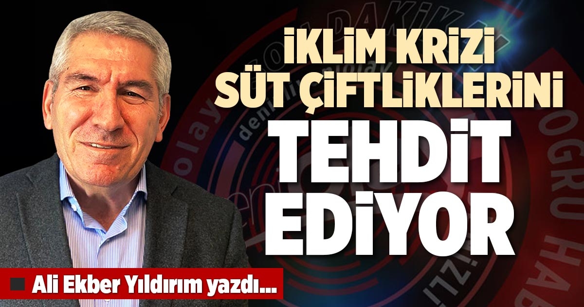 İKLİM KRİZİ SÜT ÇİFTLİKLERİNİ TEHDİT EDİYOR