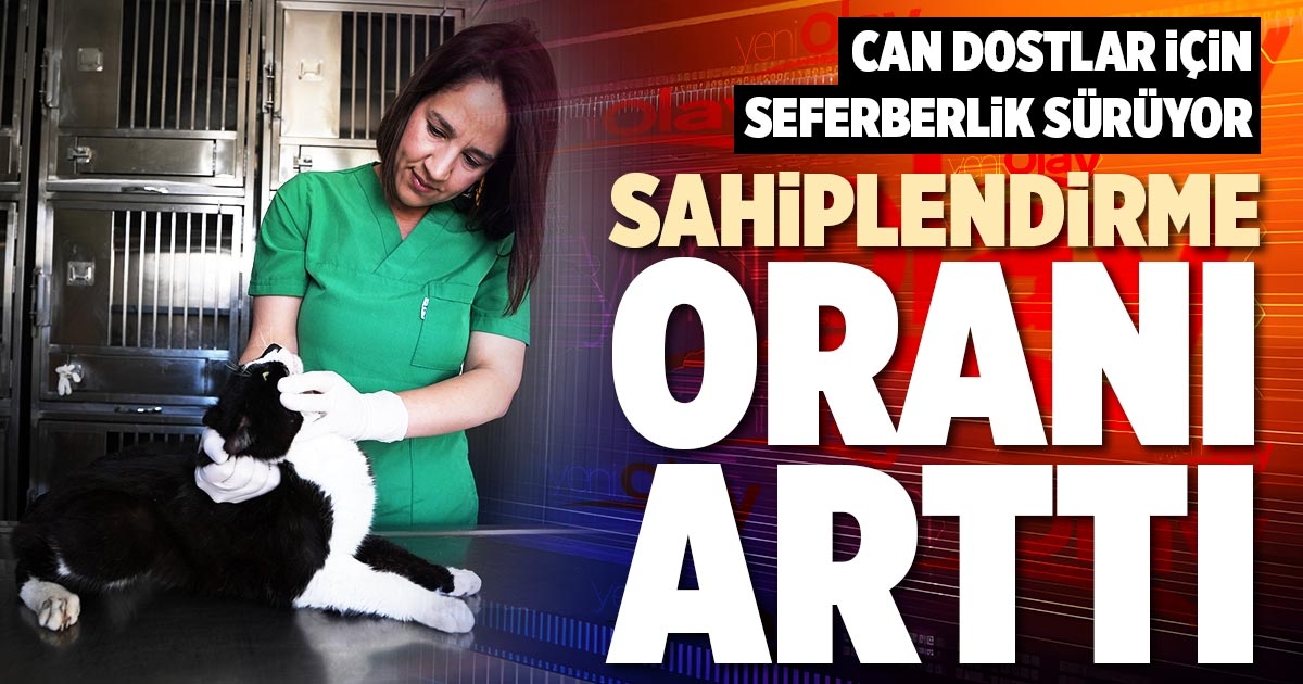 SAHİPLENDİRME ORANI ARTTI