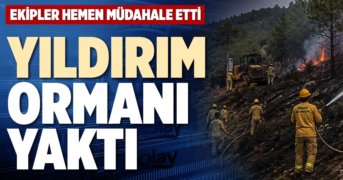 YILDIRIM ORMANI YAKTI