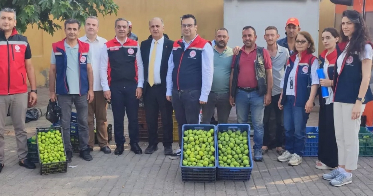 AYDIN’IN DÜNYA MARKASI İNCİRİ İÇİN SAHADA YOĞUN MESAİ
