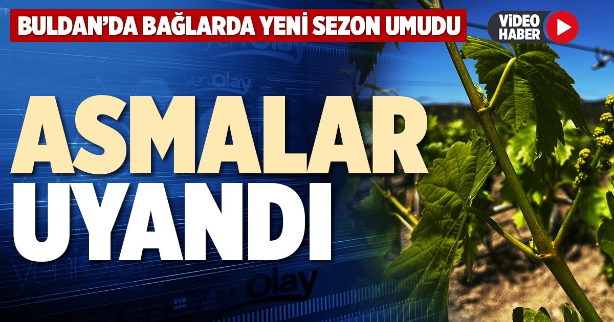 ASMALAR UYANDI