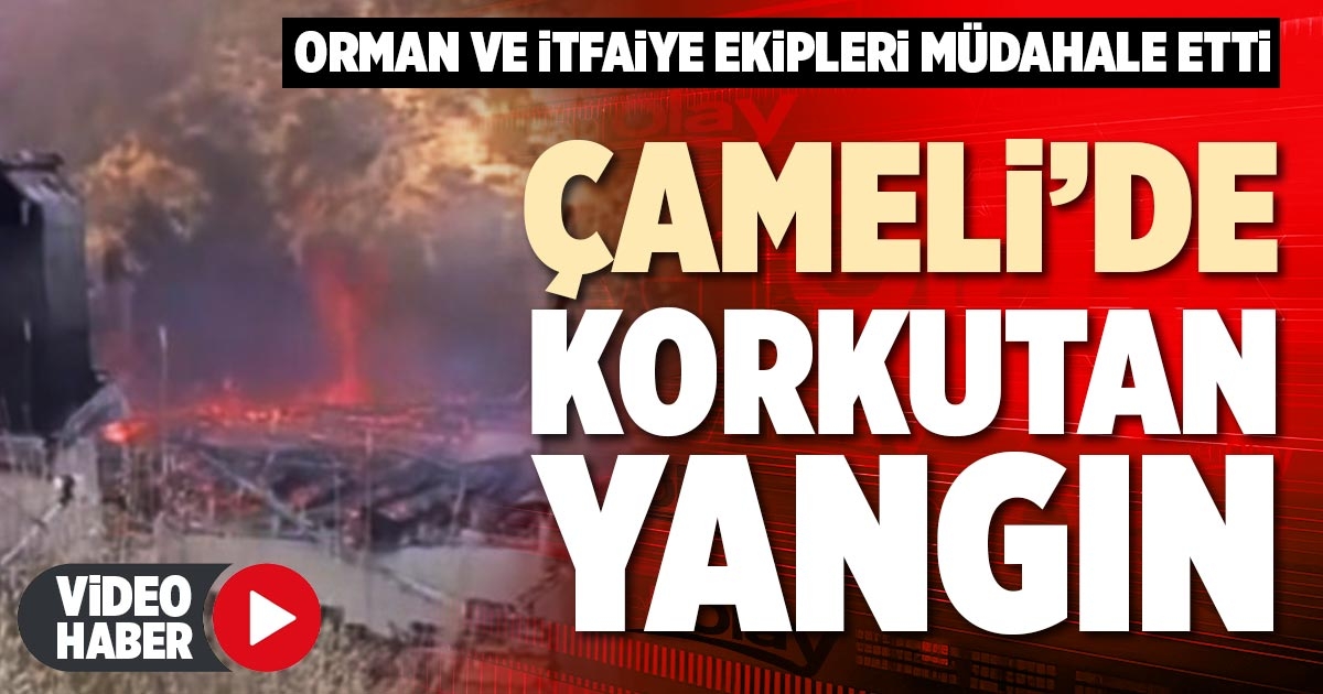 ÇAMELİ’DE KORKUTAN YANGIN