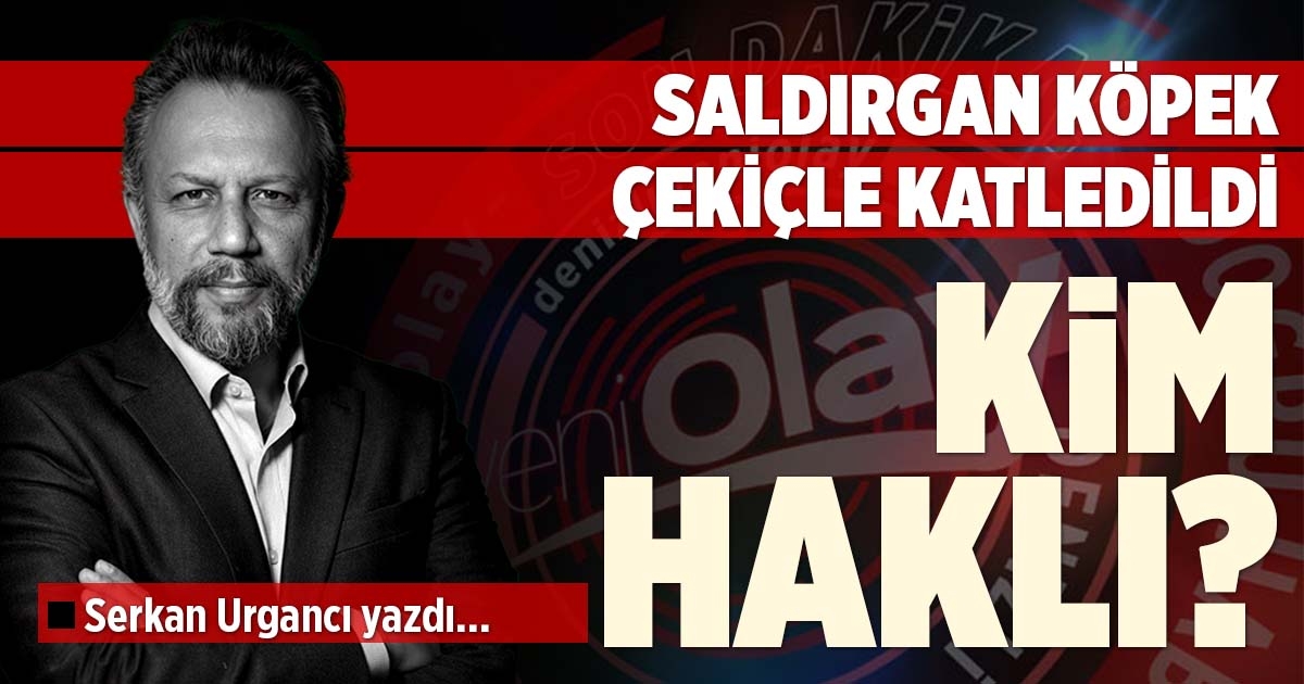 SAF TUTMAK KOLAY DOĞRU YERİ BULMAK ZOR!