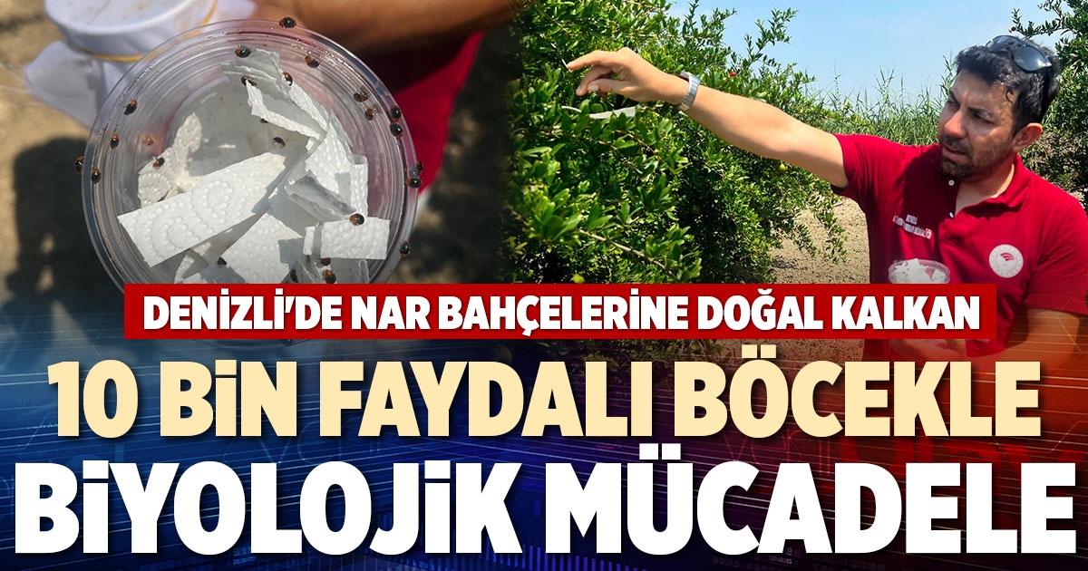 10 BİN FAYDALI BÖCEKLE BİYOLOJİK MÜCADELE