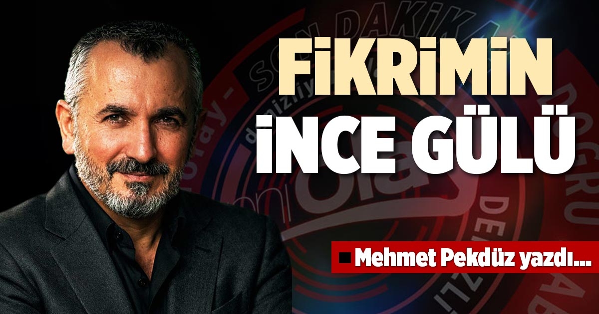 FİKRİMİN İNCE GÜLÜ