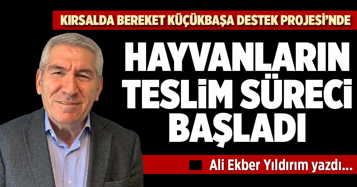 KIRSALDA BEREKET KÜÇÜKBAŞA DESTEK PROJESİ’NDE HAYVANLARIN TESLİM SÜRECİ BAŞLADI