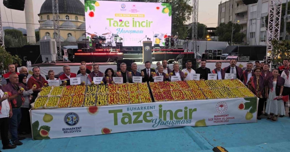 BUHARKENT TAZE İNCİR FESTİVALİ BAŞLADI