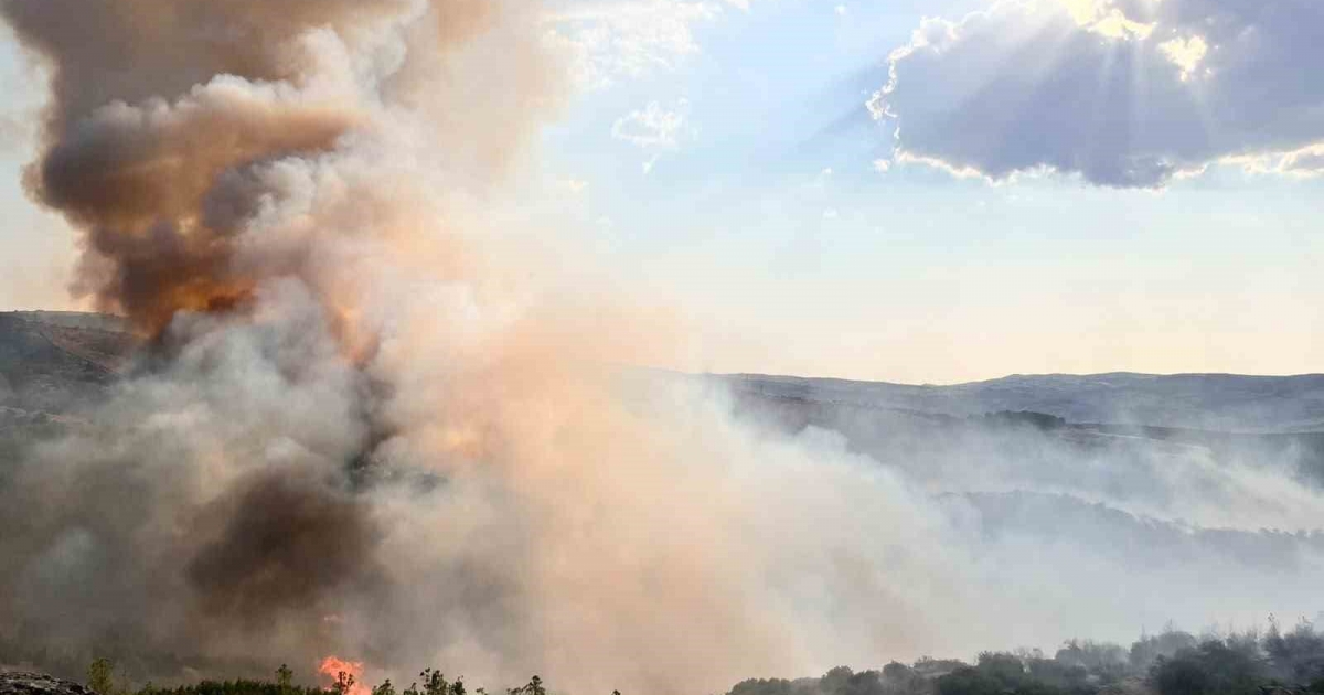 KULA’DA TARIM ARAZİSİNDE ÇIKAN YANGIN ORMANA SIÇRADI
