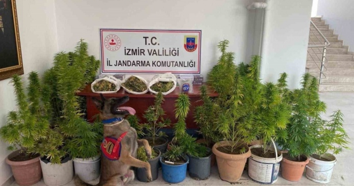 İZMİR’DE UYUŞTURUCU OPERASYONU: 3 TUTUKLAMA
