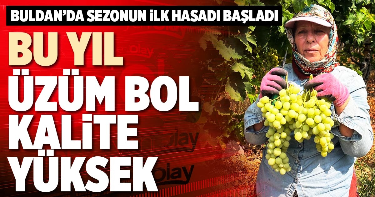 BU YIL ÜZÜM BOL, KALİTE YÜKSEK