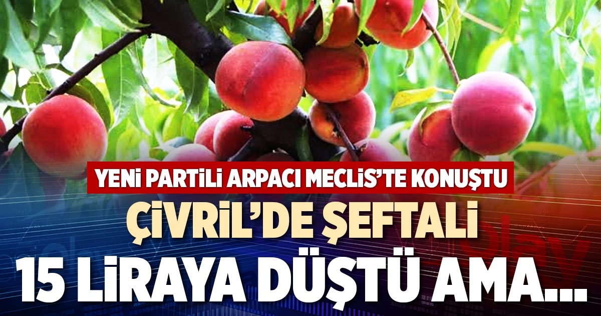 ÇİVRİL’DE ŞEFTALİ 15 LİRAYA DÜŞTÜ AMA...